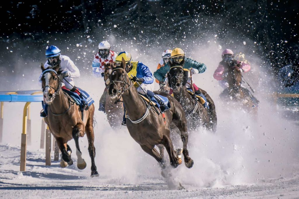 Horse Race Betting
