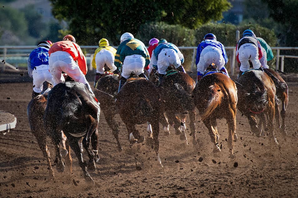 Horse Racing Speed Ratings